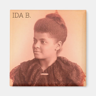 Ida B. Wells Magnet