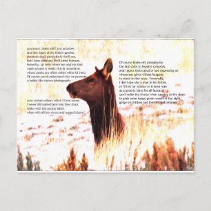 idaho ain't just potatoes postcard