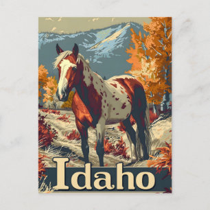 Idaho Appaloosa horse Postcard