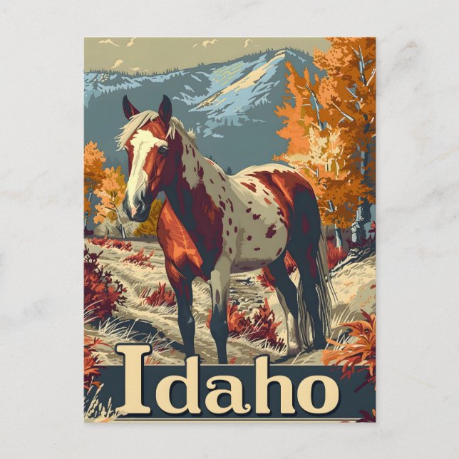 Idaho Appaloosa horse Postcard (Front)