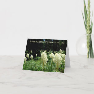 Idaho Bear Grass Card