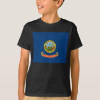 Idaho Flag: the Gem State, America Mountain West