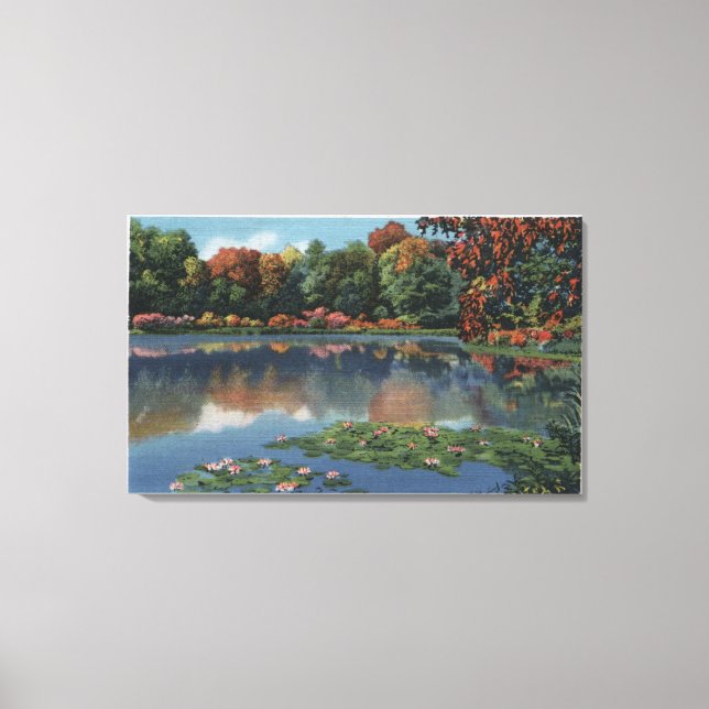 Idaho Lake Scene with Lily PadsIdaho Canvas Print (Front)