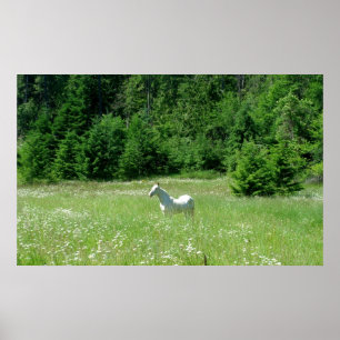 Idaho Meadow - Print