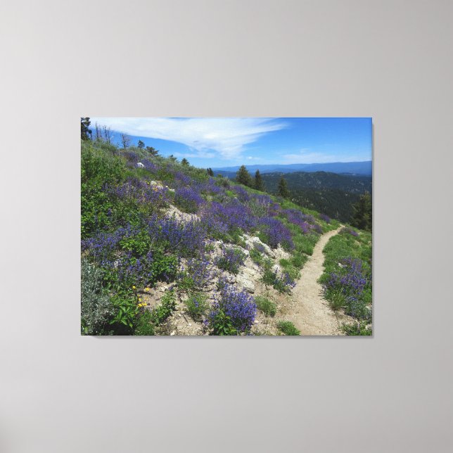 Idaho Mountain Hiking Trail Canvas Print (Front)