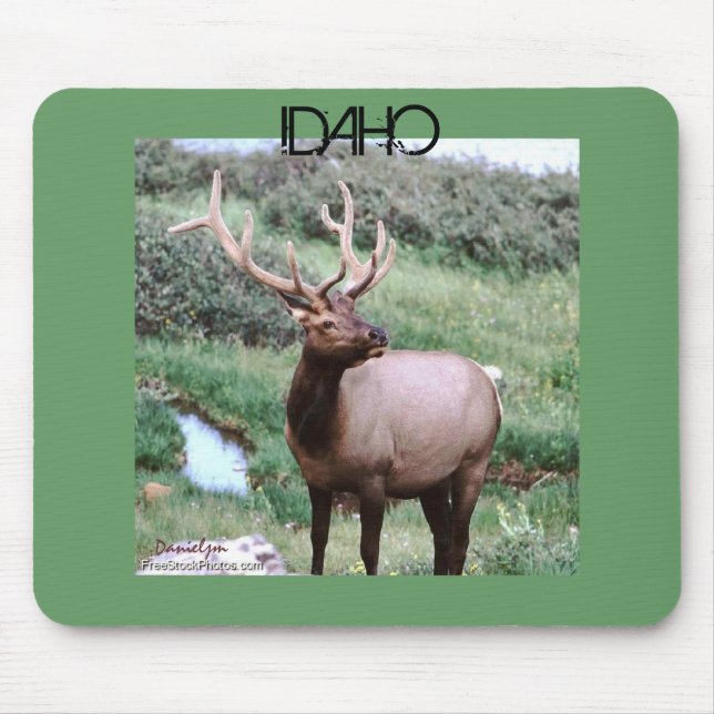 IDAHO Mousepad (Front)