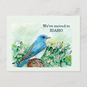 Idaho Postcard