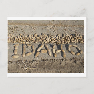 Idaho Potatoes Postcard