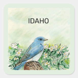 Idaho state bird and flower square sticker