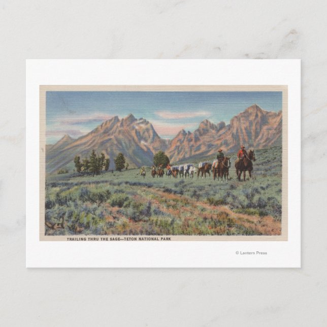 Idaho - View of Men on Horseback on Teton Mts. Postcard (Front)