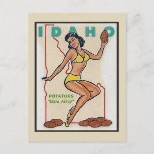 IDAHO Vintage Pin Up Girl Travel Postcard