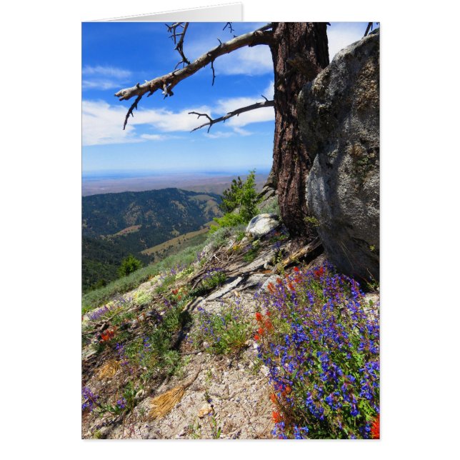 Idaho Wild Flowers (Front)
