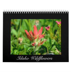 Idaho Wildflower Calendar