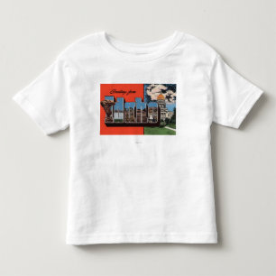IdahoLarge Letter ScenesIdaho Toddler T-Shirt