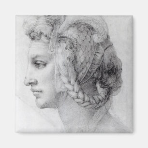 Ideal Head of a Woman, c.1525-28 Magnet
