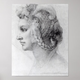 Ideal Head of a Woman, c.1525-28 Poster