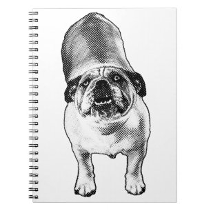 Ideas in Tiny Tones Notebook