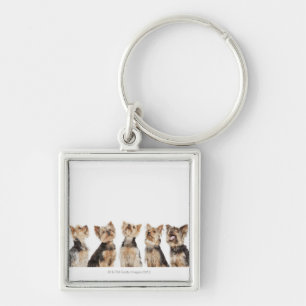 Identical dogs sitting together key ring