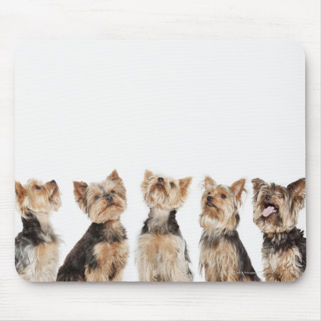 Identical dogs sitting together mouse mat (Front)
