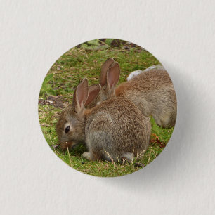 Identical twins 3 cm round badge