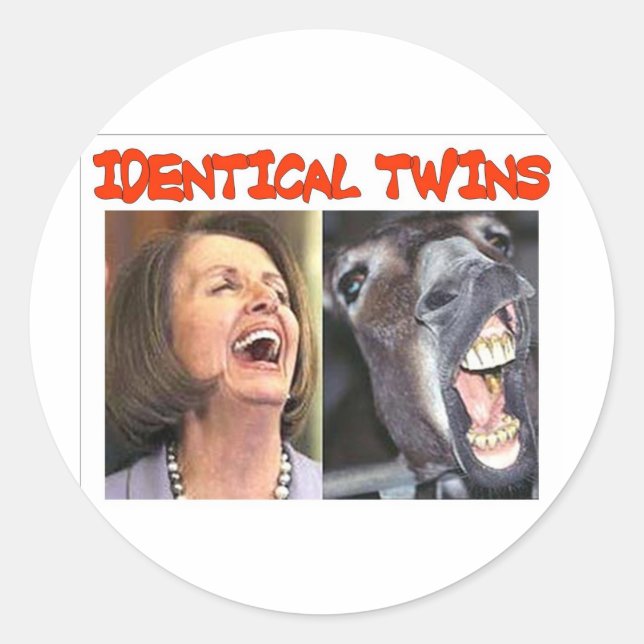 IDENTICAL TWINS CLASSIC ROUND STICKER (Front)