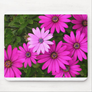 Identity (mousepad) mouse mat