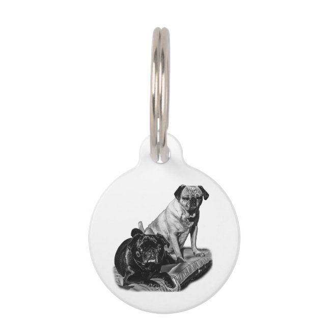 Identity Pugs, Shaded Look Pet Tag (Front)