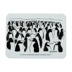 Identity Theft Magnet