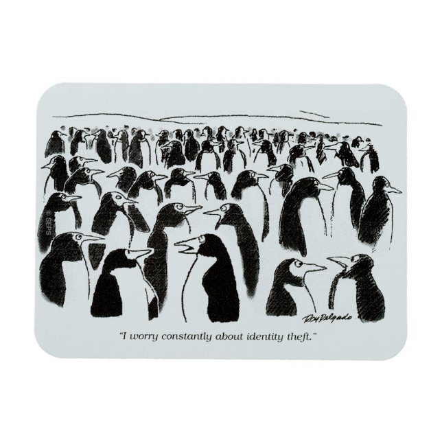 Identity Theft Magnet (Horizontal)