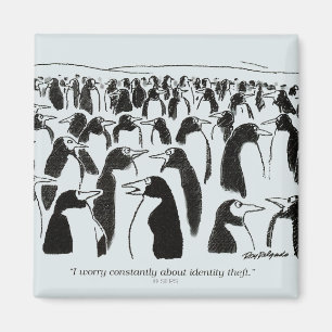 Identity Theft Magnet