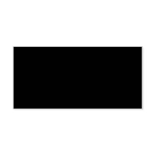 Identity Theft Personal Information Safe Rectangle Rubber Stamp
