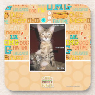 Idiot Friends Coaster