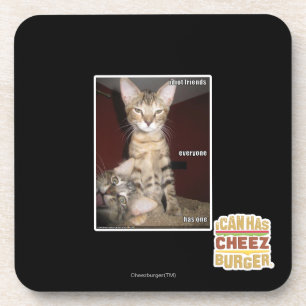 Idiot Friends Coaster