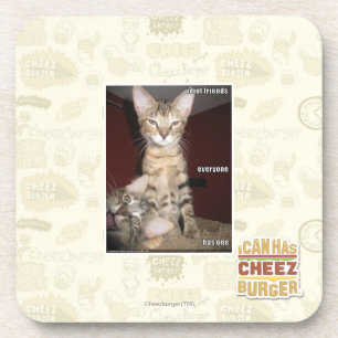 Idiot Friends Coaster