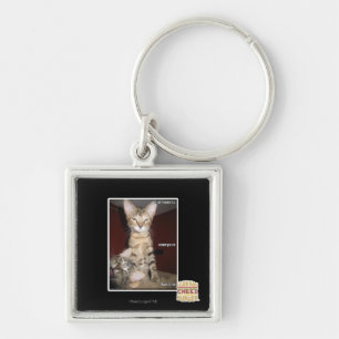 Idiot Friends Key Ring