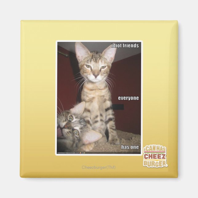 Idiot Friends Magnet (Front)