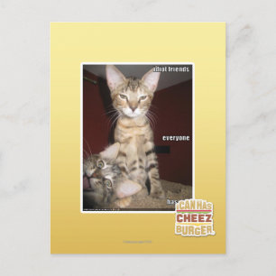 Idiot Friends Postcard