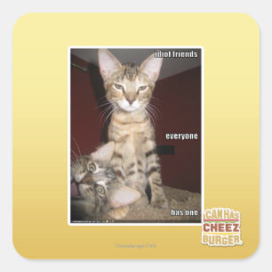 Idiot Friends Square Sticker