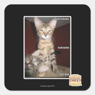 Idiot Friends Square Sticker