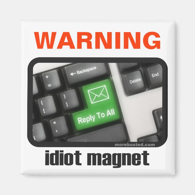 Idiot Magnet (magnet) (Front)