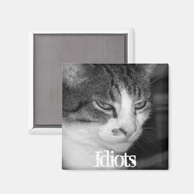"Idiots" Crabby Cat Magnet (Front/Back)