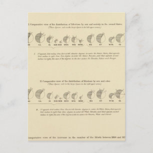 Idiots, Statistical US Lithograph 1870 Postcard