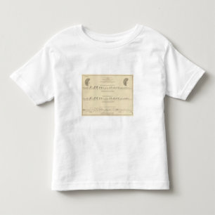 Idiots, Statistical US Lithograph 1870 Toddler T-Shirt