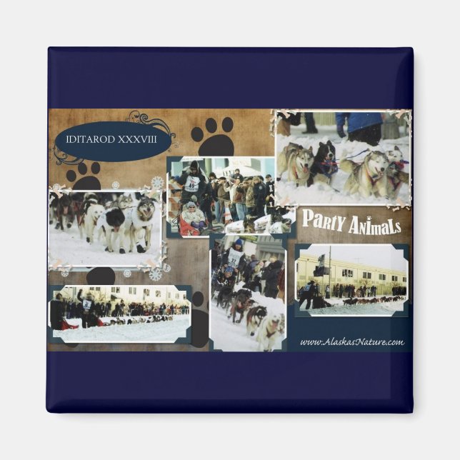 Iditarod 2010 magnet (Front)