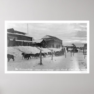 Iditarod Alaska Birdseye 1914 Poster