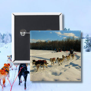 Iditarod Trail Sled Dog Race 15 Cm Square Badge