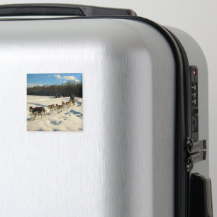 Iditarod Trail Sled Dog Race Magnet