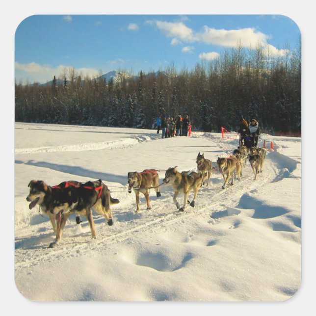 Iditarod Trail Sled Dog Race Square Sticker (Front)