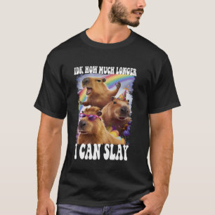 Idk How Much Longer I Can Slay Capybara Funny Meme T-Shirt
