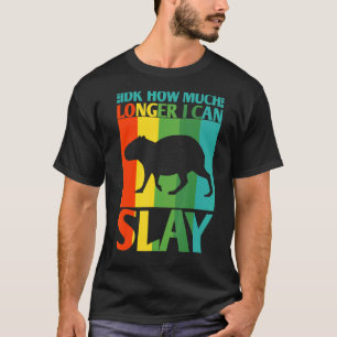 Idk How Much Longer I Can Slay  Capybara Meme Vint T-Shirt